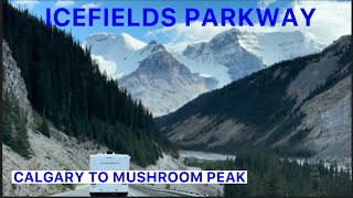 ICEFIELDS PARKWAY  MOST SCENIC DRIVE IN THE WORLD  ALBERTA CANADA [upl. by Brigette]