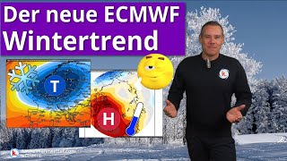 Neuer Wintertrend Umstellung kommt wohl nur kurz sehr mild [upl. by Ilellan225]