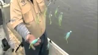 Striper Fishing With Umbrella Rigs [upl. by Ibbetson]