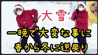 1174【80代の元気チャンネル】また大雪～冬に逆戻りだぁ～☃️ [upl. by Lesab]