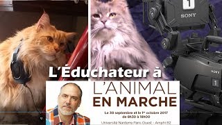 LÉduchateur et ses chats vous invitent à quotLanimal en marchequot [upl. by Nobe]