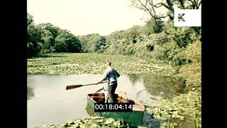 1960s UK Couple Rowing on Bosherston Lily Pond 16mm [upl. by Eimmaj]