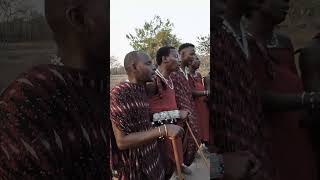 Masai dance in mikumi Masai boma [upl. by Beatrix]