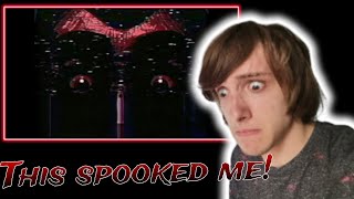 BATTINGTONS NEW VIDEO IS HORRIFYING  FNAFVHS Reaction [upl. by Cristin]