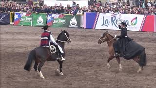 Semana de la Chilenidad Cueca Horse dance [upl. by Nevuer578]