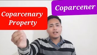 Coparcenary in hindu law  Coparcener  Coparcenary property kya hai [upl. by Willie]