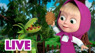 Masha and the Bear – 🐑 Rockabye baby 🐑 Episode 62 [upl. by Byrom]