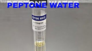 PEPTONE WATER  MICROBIOLOGY [upl. by Soph]