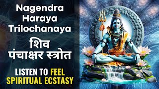 Nagendra Haraya Trilochanaya  Shiv Panchakshar Stotra पंचाक्षर स्त्रोत  Shiva Bhakti Songs [upl. by Arno]