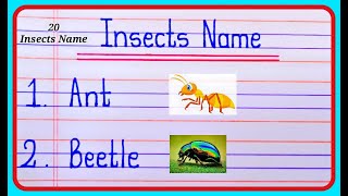 Insects Name In English  Names of Insects  20 insect names  कीड़े मकोड़े के नाम [upl. by Gnem]