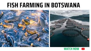 Fish Farming in BotswanaFisheries and Aquaculture [upl. by Ellesij1]