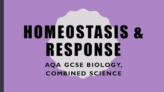 Homeostasis Revision  GCSE BiologyCombined Science [upl. by Bashemeth747]