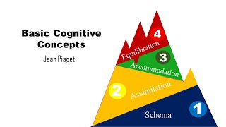 Basic Cognitive Concepts Schema Assimilation Accommodation Equilibration [upl. by Kenta120]