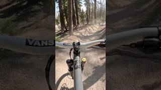 Tad Bit Dusty…😅 shorts downhill mtb [upl. by Ymmor98]