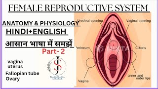 Female reproductive system l Anatomy amp physiology  HindiEnglish [upl. by Nimajneb]