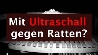 Ultraschall gegen Ratten im Test Wirksam oder Unwirksam [upl. by Aicetal]