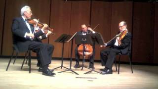 Guarneri Quartet  Beethoven String Quartet no 13 Op 130  V Cavatina Adagio molto espressivo [upl. by Iridis]