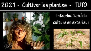 Culture et entretien des plantes  Introduction à la culture en extérieur  Tuto 2021 [upl. by Enirtak]