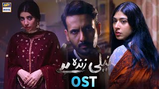 Neeli Zinda Hai OST  Rose Mary  ARY Digital Drama [upl. by Ahsital]