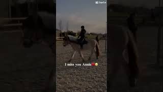 Annie is verkocht😭😭😭het was een van mijn favo paarden😭😭😭 [upl. by Awuhsoj]