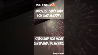 4 inch shell fireworks vuurwerk shell viralvideo youtubeshorts shorts silvester nye funny [upl. by Alvan67]