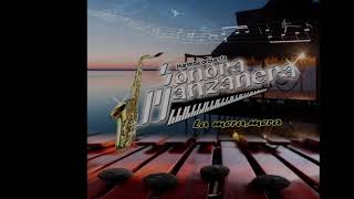 Sonora Manzanera quot140000quot vol 31 producido por DIESA RECORDS 2019 [upl. by Oznarol]