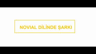 novial dilinde şarkı [upl. by Puiia]