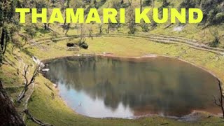 Munsiyari hidden track to  THAMARI KHUND [upl. by Hands]