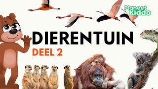 Dierentuin Dieren Leren In Het Nederlands 2  Voor Peuters En Kleuters  Learn Zoo Animals in Dutch [upl. by Icam649]