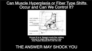 Can Muscle Hyperplasia or Fiber Type Shifts Occur and Can We Control It THE ANSWER MIGHT SHOCK YOU [upl. by Caspar605]