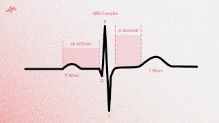 Action Potential  Most COMPREHENSIVE Explanation  Nerve Physiology [upl. by Egwin]