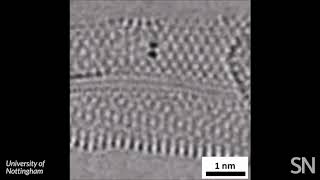 Watch chemical bonds forming and breaking in a molecule  Science News [upl. by Haridan]