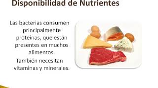 Curso de manipulación higiénica de los alimentos  AGENCIA GUBERNAMENTAL DE CONTROL [upl. by Perpetua862]