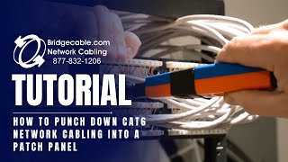 How to Punch Down CAT6 Network Cabling into a Patch Panel  BridgeCablecom [upl. by Newg]