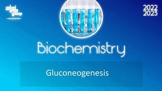 L11amp12carbohydrate metabolism34 gluconeogenesisampCoris cycleampglucose alanine cycle Biochemistry [upl. by Saalocin361]