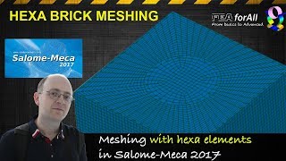 Salome Meca Tutorial Meshing with Hexa Elements [upl. by Nnyluqcaj]