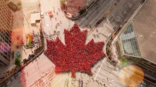 Living Maple Leaf  Canada day 2017 [upl. by Nnylkcaj]