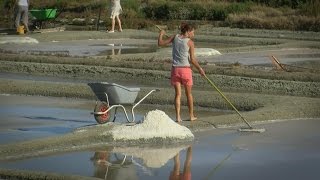 The Salt Marshes of Guérande Brittany France [upl. by Stretch]