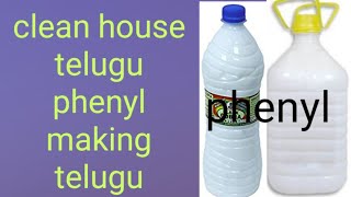 phenylmaking Phenyl making telugu  clean house telugu [upl. by Pitts434]