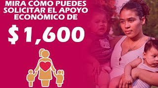 Apoyo a madres solteras 2022 Mira cómo puedes solicitar el apoyo económico de mil 600 pesos [upl. by Kaitlyn145]