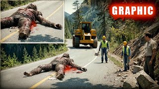 SASQUATCH RUNOVER  Massive Bigfoot Flattened by Bulldozer  bigfoot 2024 [upl. by Aloke]