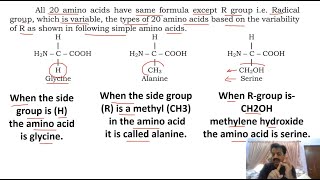 Chapter 1  Biological molecules  Part 10  Proteins  Sindh Text Board [upl. by Ianej]