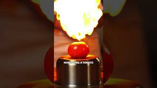 Shocking Chef Tricks for Peeling Tomatoes 😲 FoodShorts [upl. by Fifine]