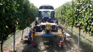 Attrezzatura per vigne con lame interfilari dx e sx modello EXPO DOPPIO FULL [upl. by Aneehsyt]