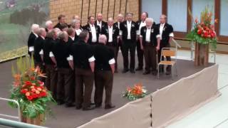 Jodlerklub Wattenwil Jodlerfest Steffisburg 2016 [upl. by Adnirual]