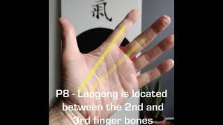 How to locate the Acupoint P8  Laogong [upl. by Evatsug192]