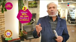 5 pasos para cubrir tus canas  Tips de Belleza  Sale el Sol [upl. by Ungley988]