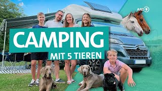 Tipps für den ersten Wohnmobil Trip  ReisemobileMKK [upl. by Rhonda]