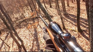 DEER RIFLE OPENER in PENNSYLVANIA BIG BUCK DOWN [upl. by Yrret]