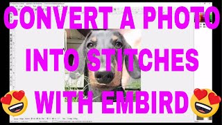 EMBIRD CLASS Convert a photo into stitches Embird Sfumato Stitch [upl. by Boorer]